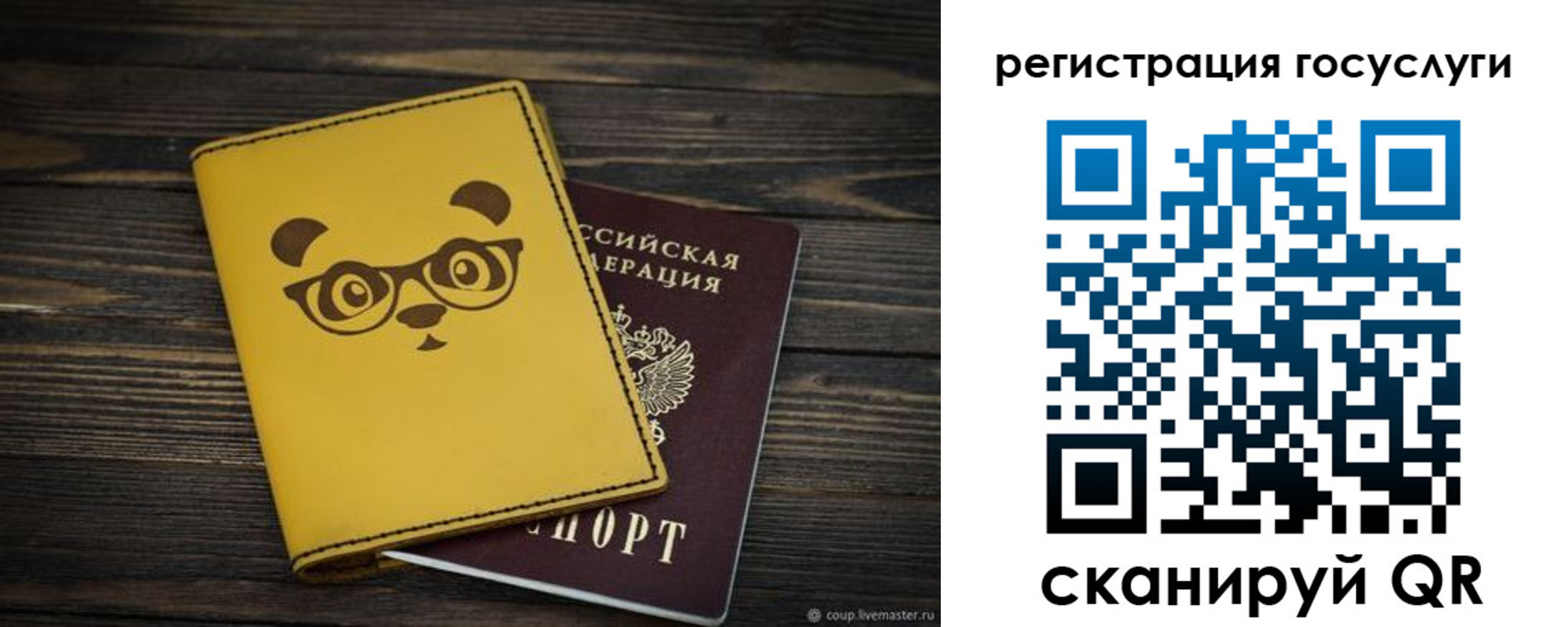 прописка иностранных граждан в Камчатском крае
